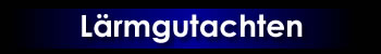Lrmgutachten